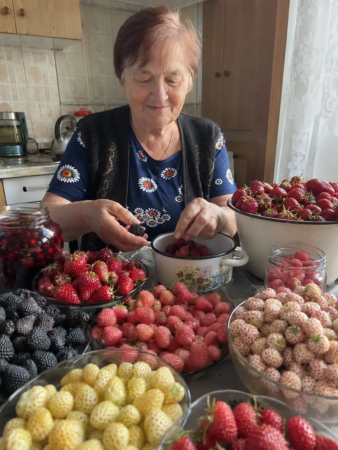 Розсада полуниці